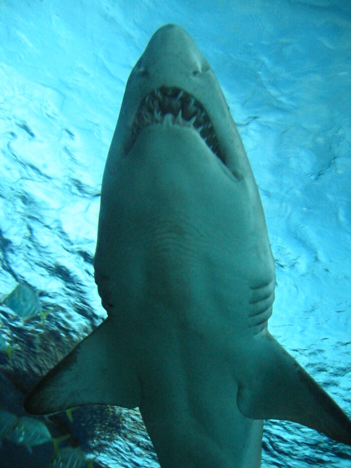 35 Random Jaw-Dropping Facts, As Shared In This Online Group