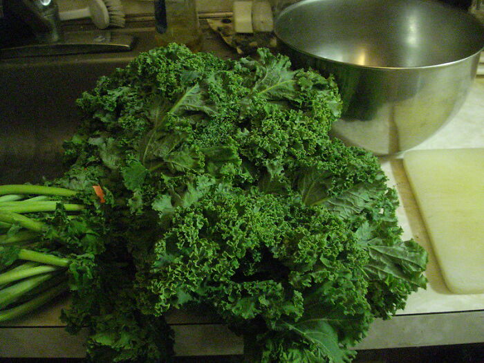 People Are Joining This Thread Ranting About Overhyped Foods They Don't Understand And Here Are 34 Of Them