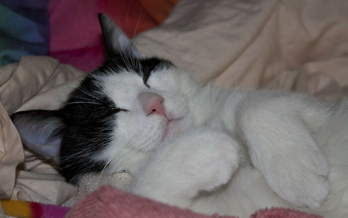 Netizens Enumerate 30 Things That Are Way Worse Than Stepping On A Lego