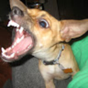 brendamichalak avatar