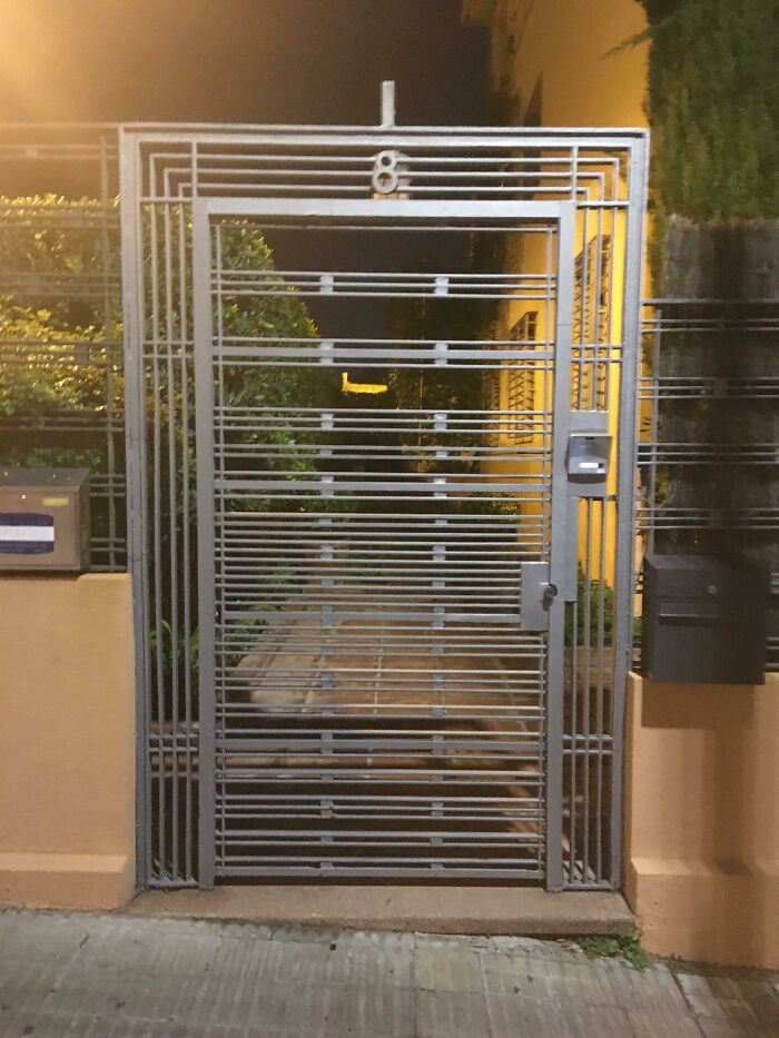 This Security Door Is A Ladder