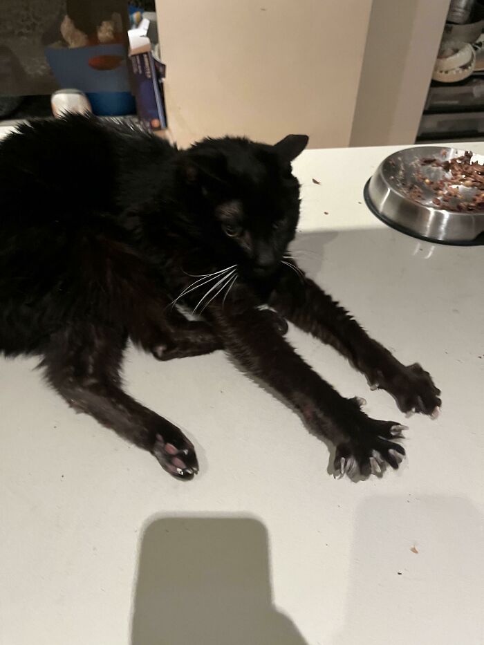 Tiene 18 años y se está acercando su final, pero sigue teniendo unas manoplas asesinas fenomenales