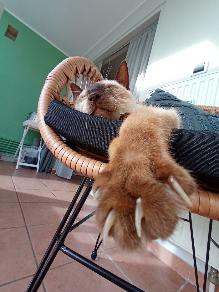  ¡El 19 de octubre cumple 18 años y todavía nos muestra que es el hombre de la casa!