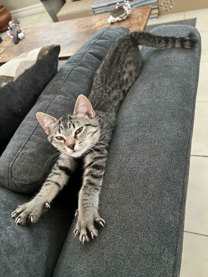 Xena y sus manoplas asesinas