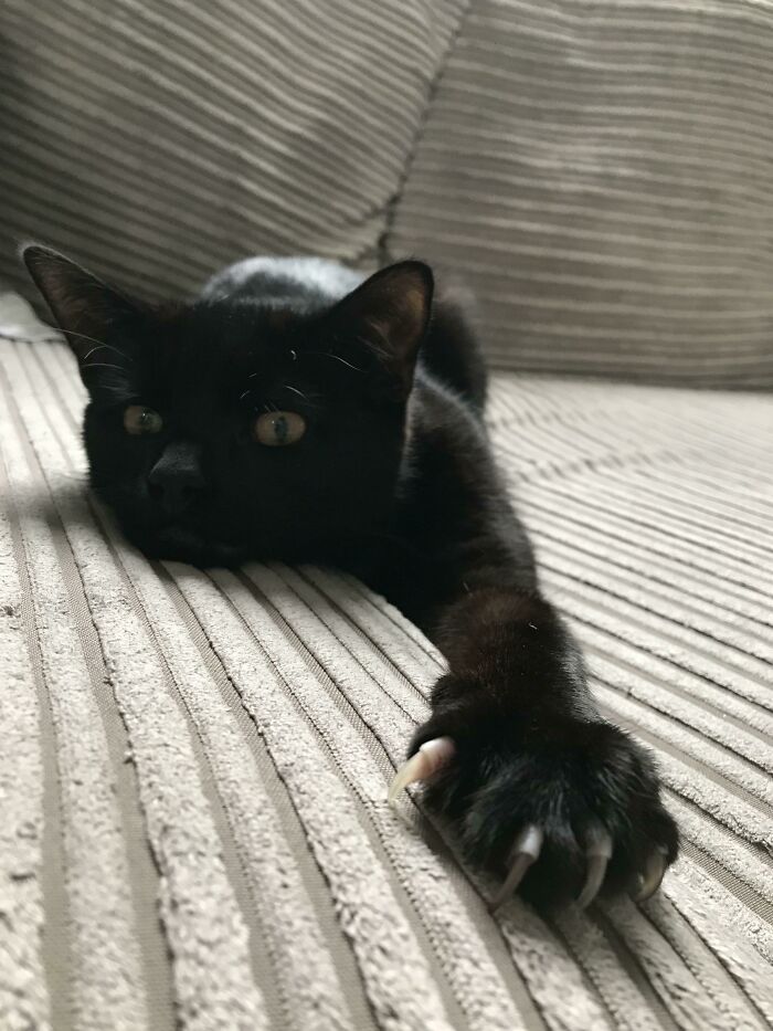 Feeling Cute, Might Do A Murder