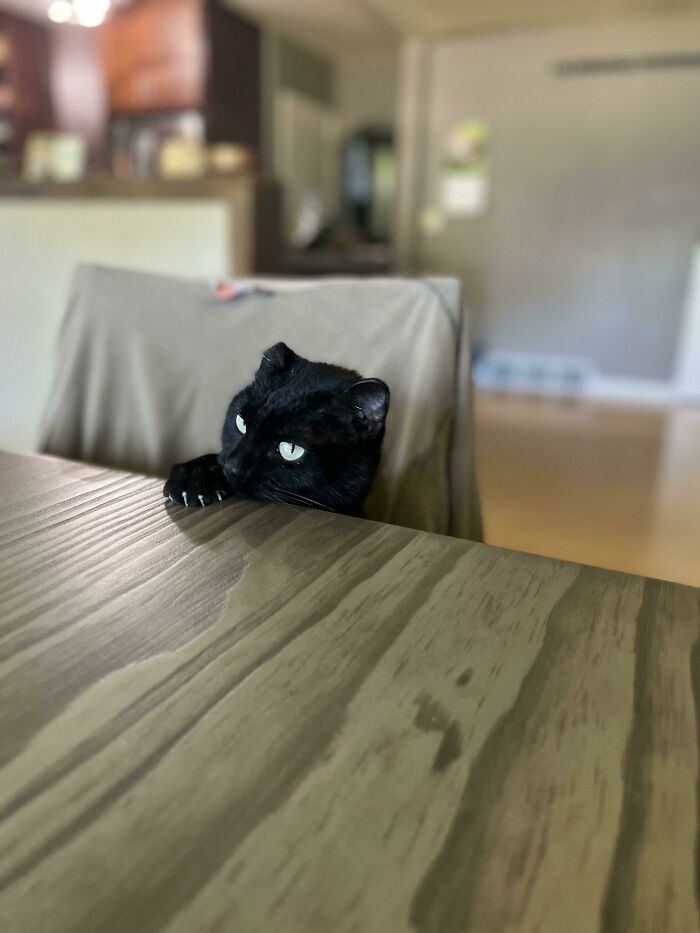 May I Convince You Another Way?