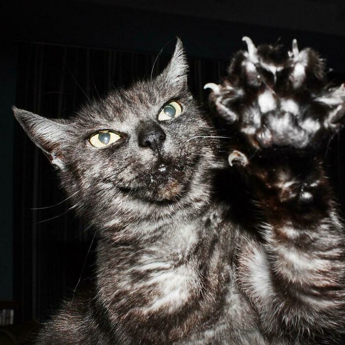 This Fierce Lady Ruled Our Family For About 20 Years