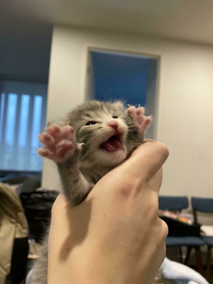 Daily Weighing Was Never Her Favourite