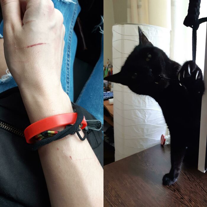 La obra y el artista