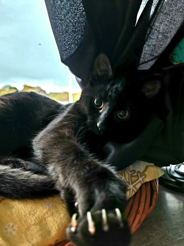 No has olvidado nuestro acuerdo, ¿verdad, humano?