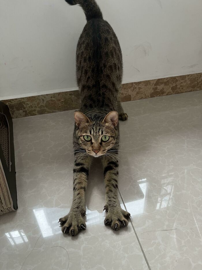 Stretching Before Exercise