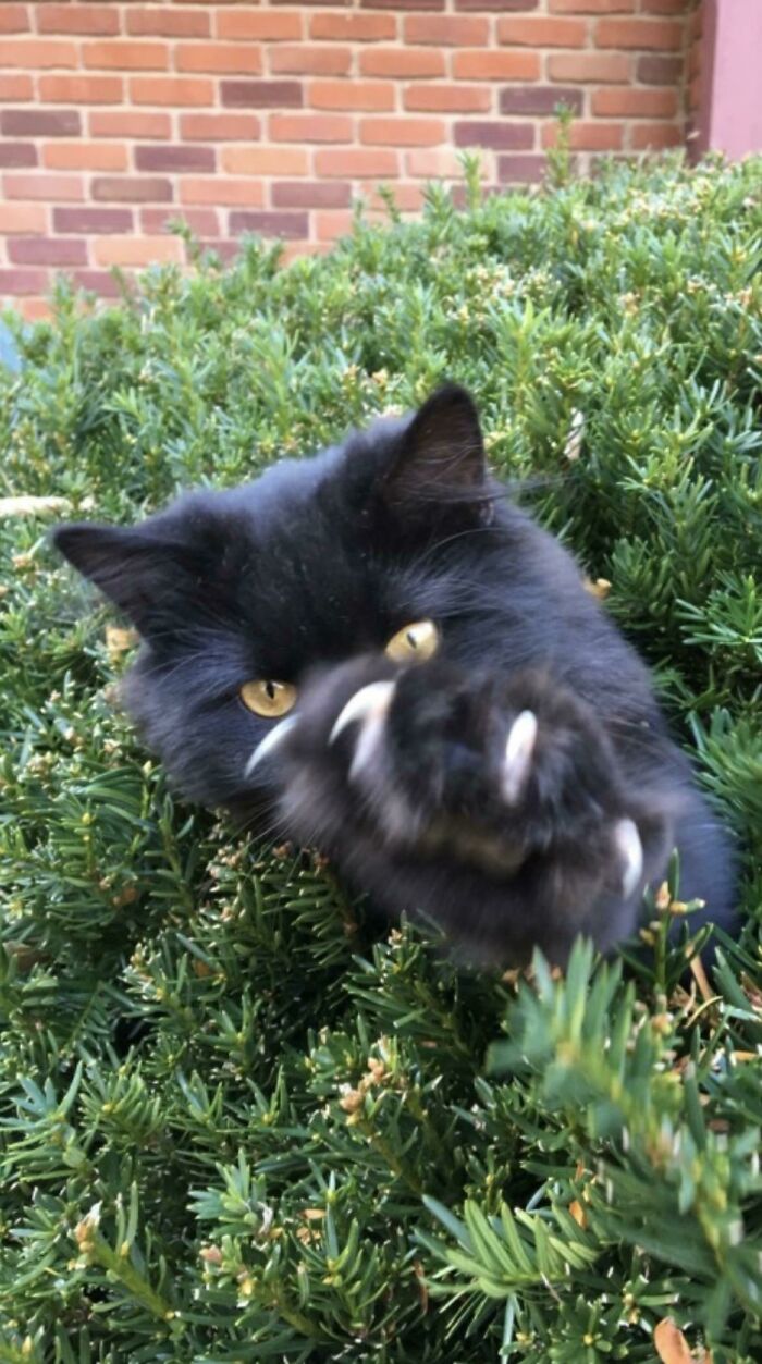 Las 10 mejores fotos tomadas momentos antes del asesinato