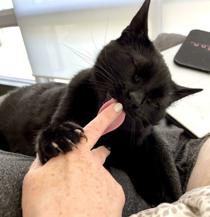 He’s An Absolute Sweetheart. But Reminds Me Frequently That He Can Fuck Me Up If He Wants