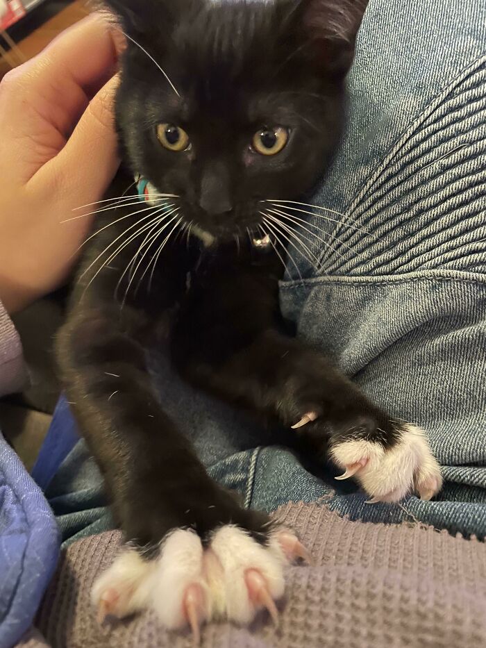 “Ma’am I Will Cut You”