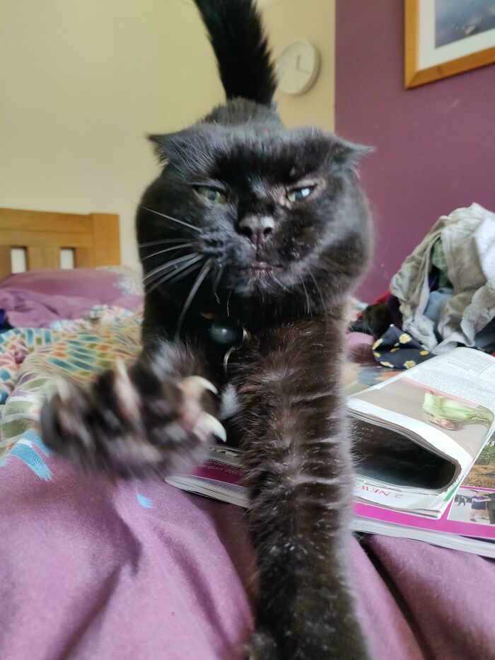 Treacle Flashing Her Mitt