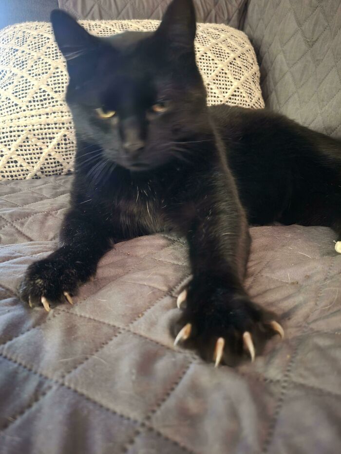 Eli Showing Off His Impressive Mittens