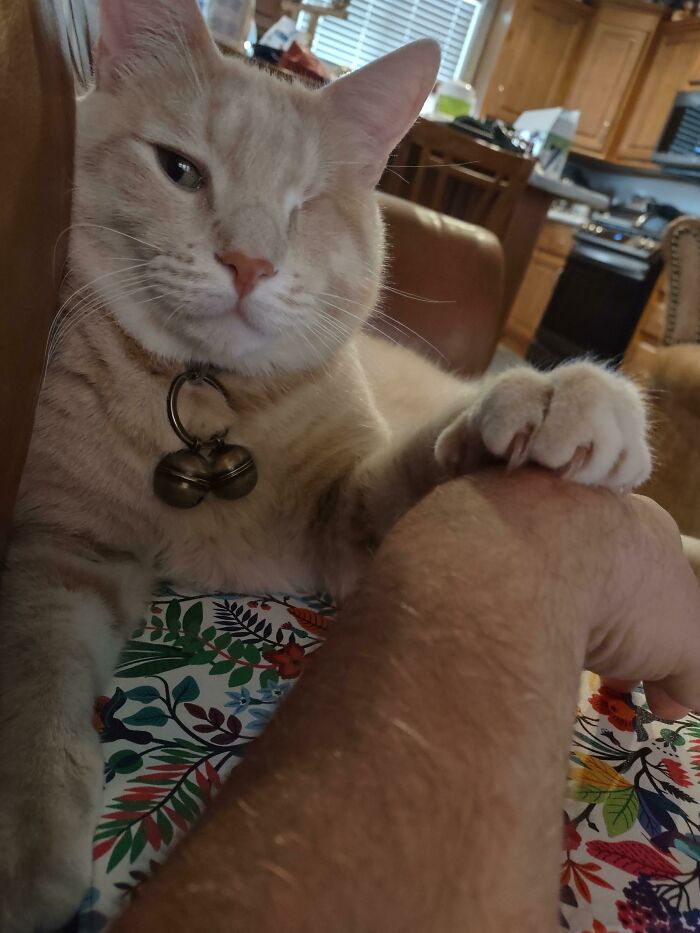 Simon Has Claimed Me