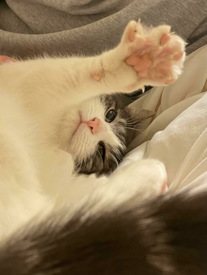 Little Marley Looking Murderous