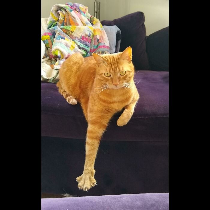 Threats From Across The Room (Leo Edition)