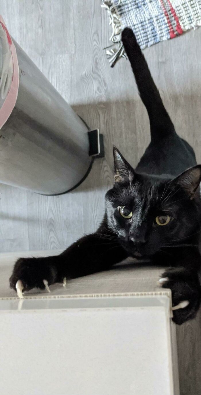 I Could Slit Your Throat In A Heartbeat. I Love You