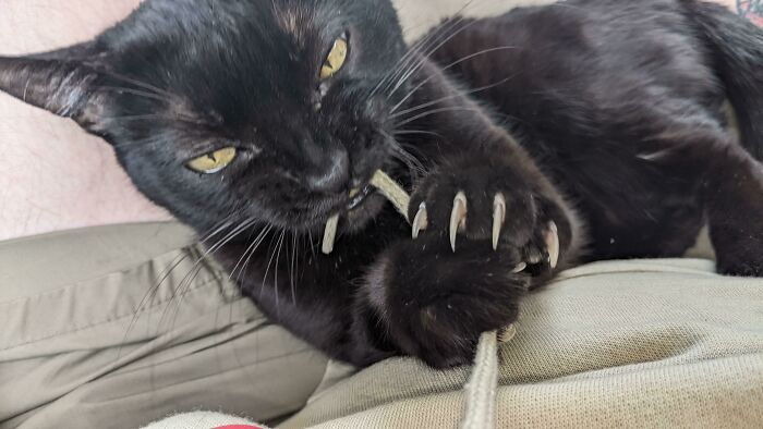 She Likes Sweater Strings