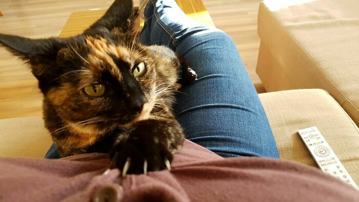 I Was Told She Belongs Here. First Week She Scared Me So Much With Love