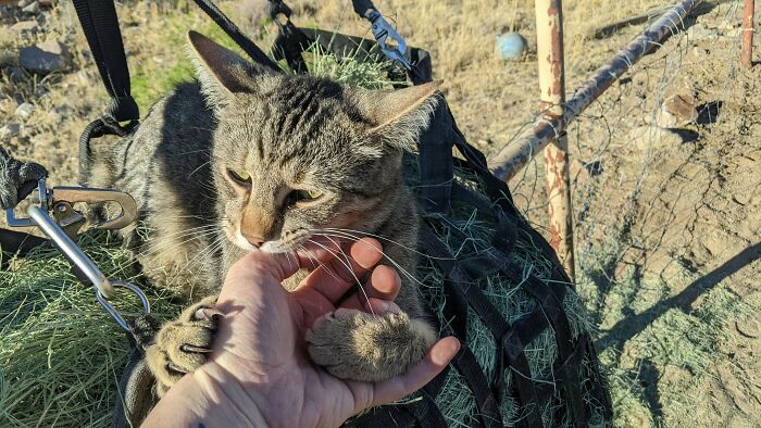 Troy Chooses Violence Every Time