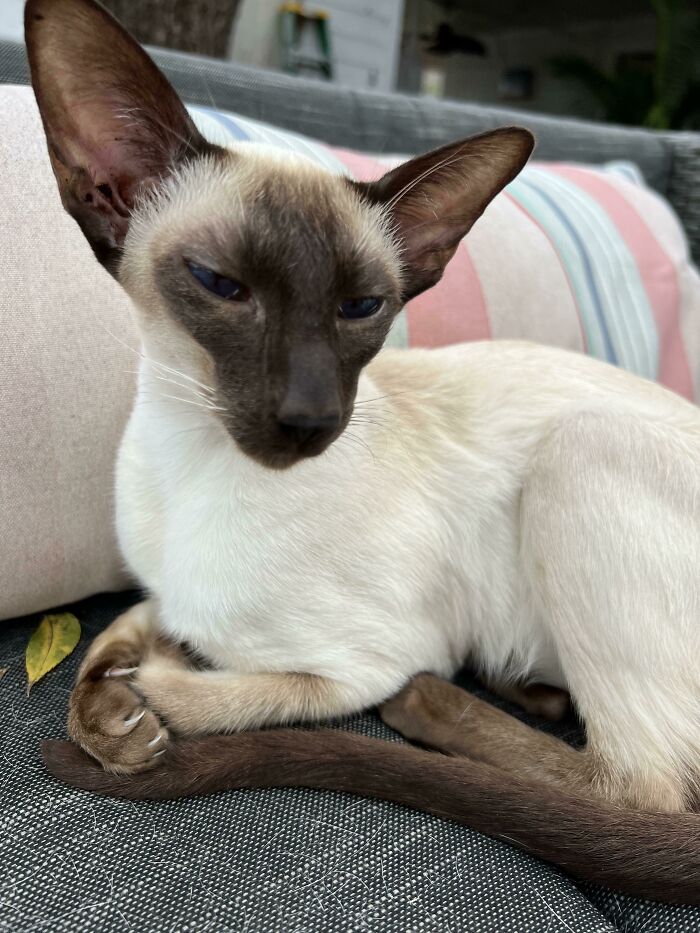 He’s Very Proud Of Them