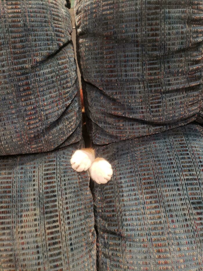 No es seguro sentarse en el sofá