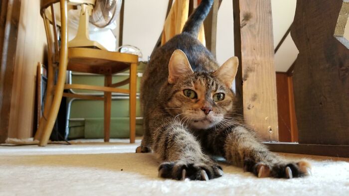 First Post Here. Meet Sammy Everyone!