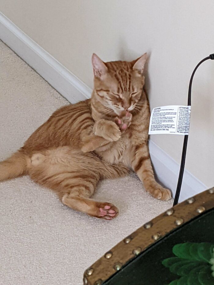 Preparing For Battle