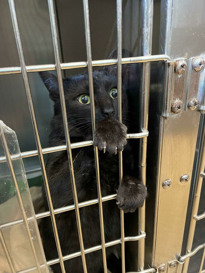 Wanna Guess Who Just Found Out He's Going To Get Fixed?