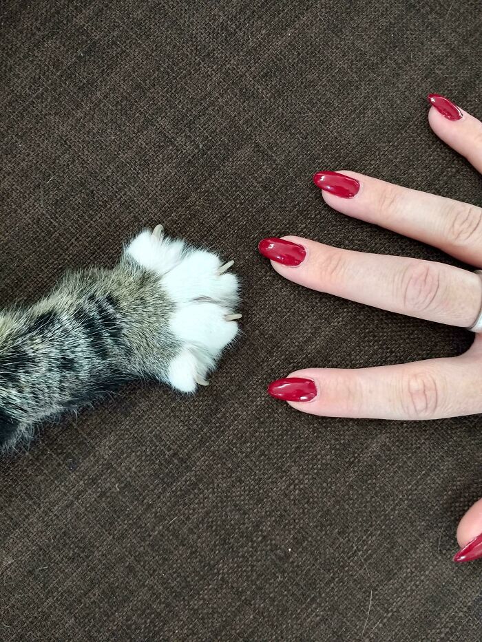 Double Mittens! Happy New Year From Us