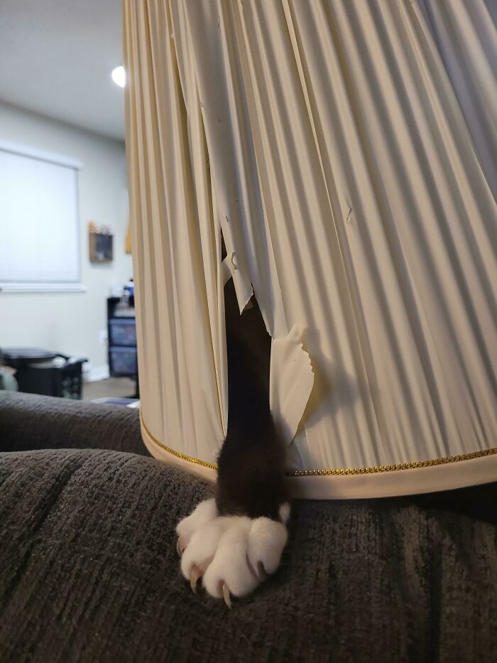 Like A Scene From A Horror Movie. "The Lamp Shade Massacre"