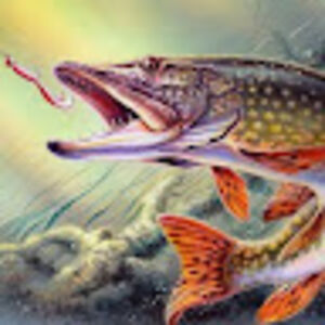 michaelseelye avatar