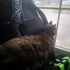 vincent_protzman avatar