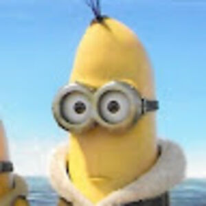 sebastioncoffey avatar