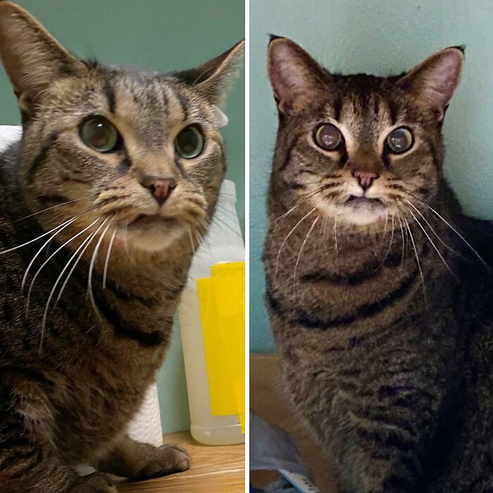 Sometimes My Lips Get Stuck On My Teefs