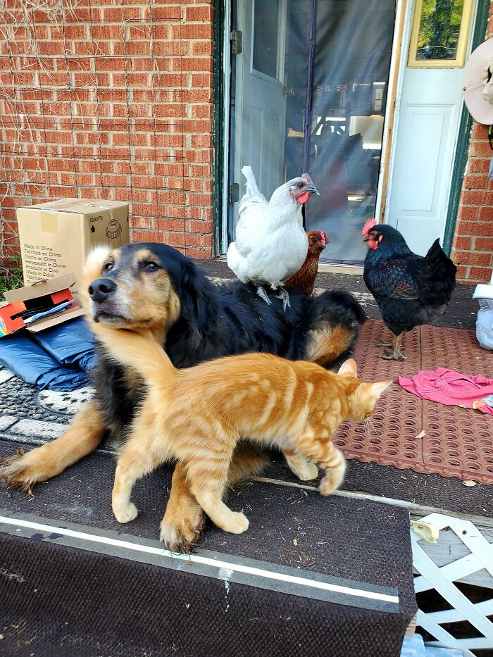 She's Clearly The Mom's Friend