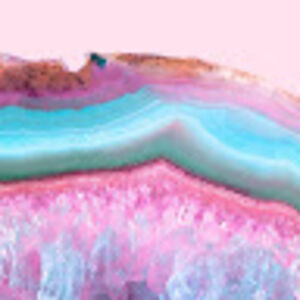 jessicawall_1 avatar