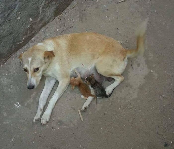 I Was Walking Down The Street When I Saw This