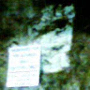 Fredrika Van der Merwe