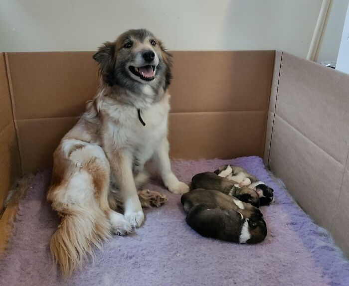 She's So Proud Of Herself