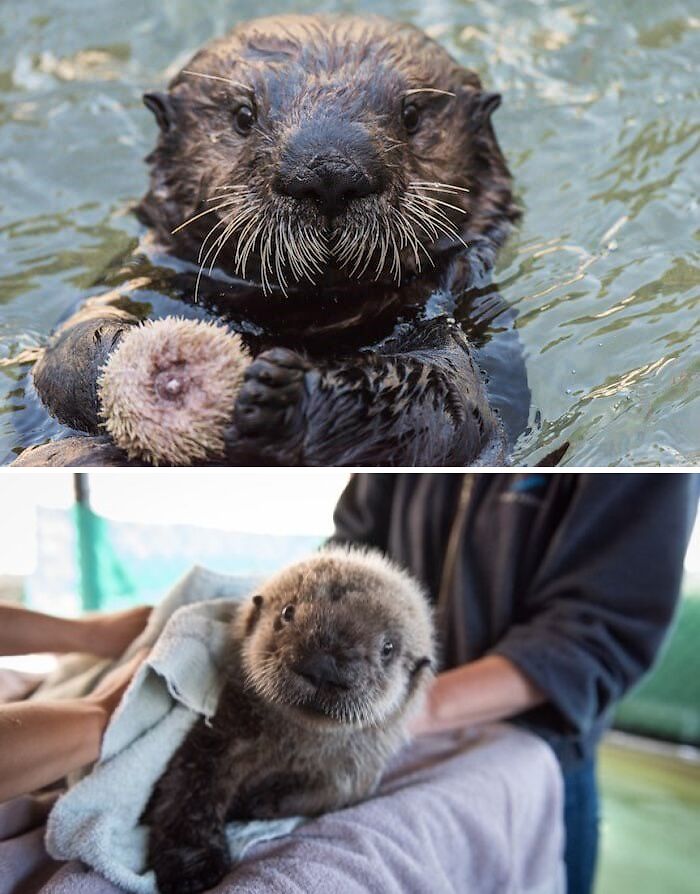 This Is For All The Rialto Fans - Of Which There Are Many