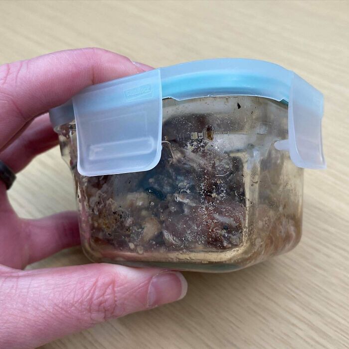 I Found My Lunch (In A Tote On My Desk), From Two Years Ago. I Didn’t Open It For Fear That It Could Trigger Another Pandemic