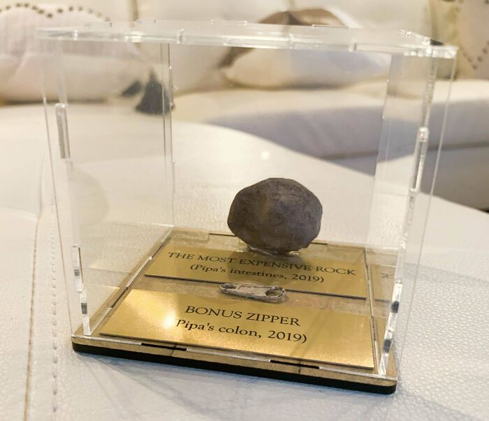 My Dog Had A 5k Surgery After Eating A Rock. I Decided To Display It Accordingly