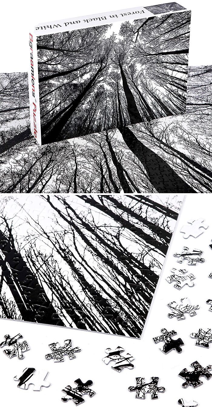 Bosque en blanco y negro