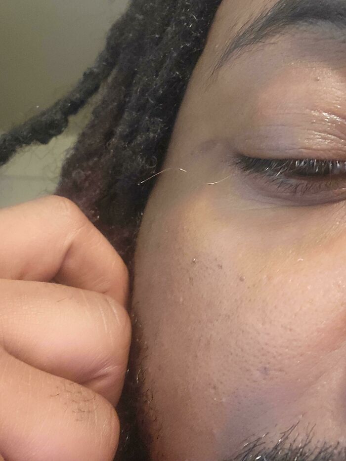 My Left Eye Grows A Single, Fragile Grey Eyelash That Grows As Long As I Let It