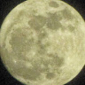 kerrymontesanto avatar