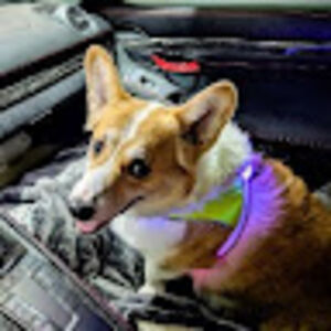 brendanstrain avatar